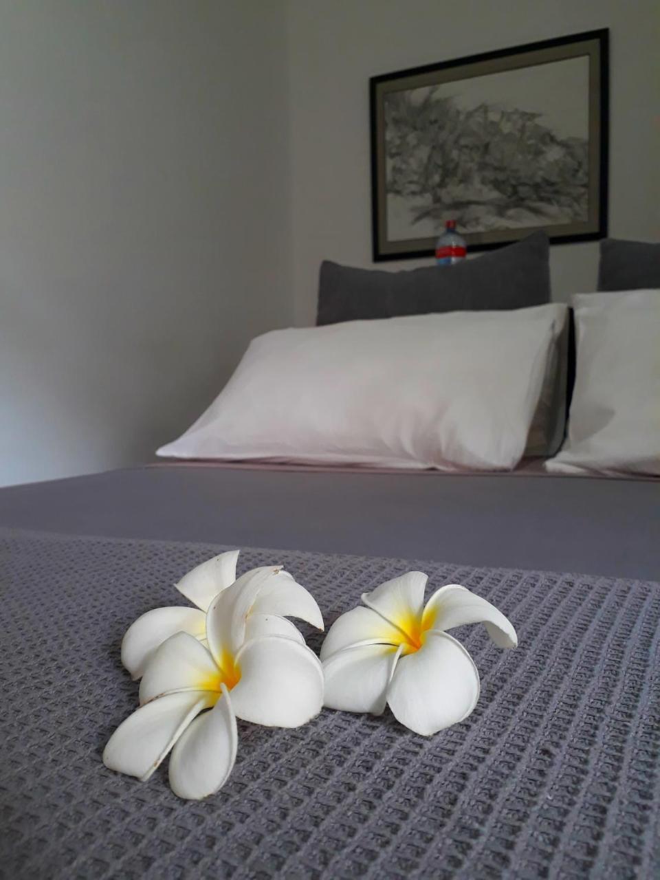"27" Spathodea- Oasis In The City Kolombo Dış mekan fotoğraf